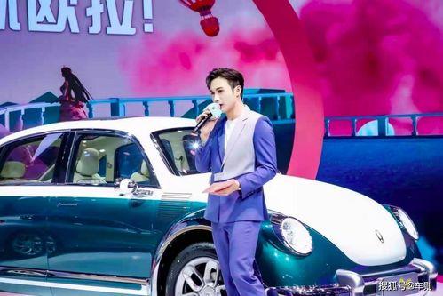 上海车展国产大佬视频大全,上海车展大佬视频大盘点  第2张