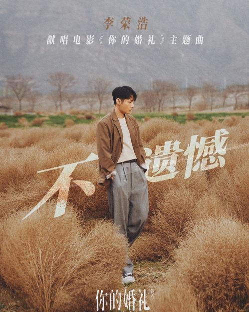 国产遗憾的歌曲大全视频,那些年错过的经典旋律